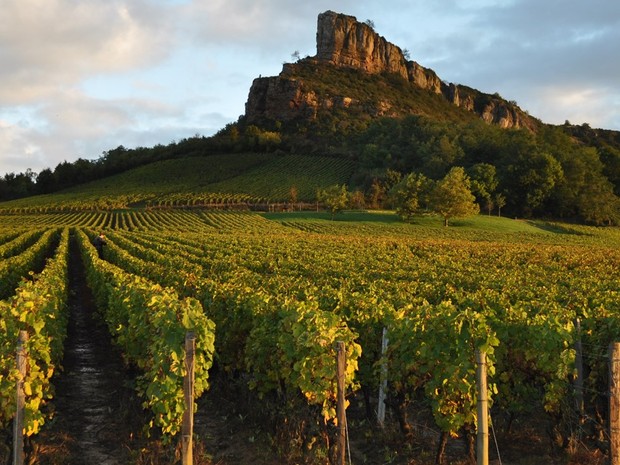 Degustace vín z jižní Rhôny