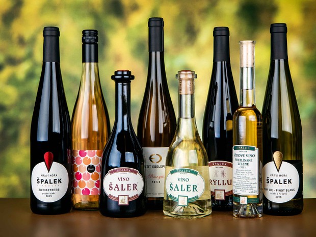 Degustace s vinařstvím Špalek
